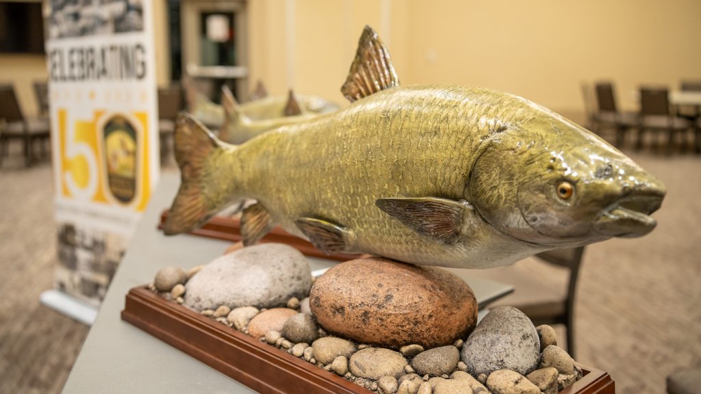 statue of fish on a base of rocks