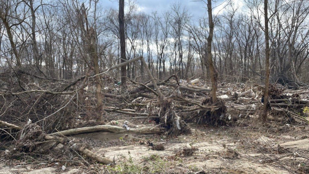 A dense area of fallen tree limbs, uprooted roots, and storm debris scattered across a sandy forest floor under bare trees.