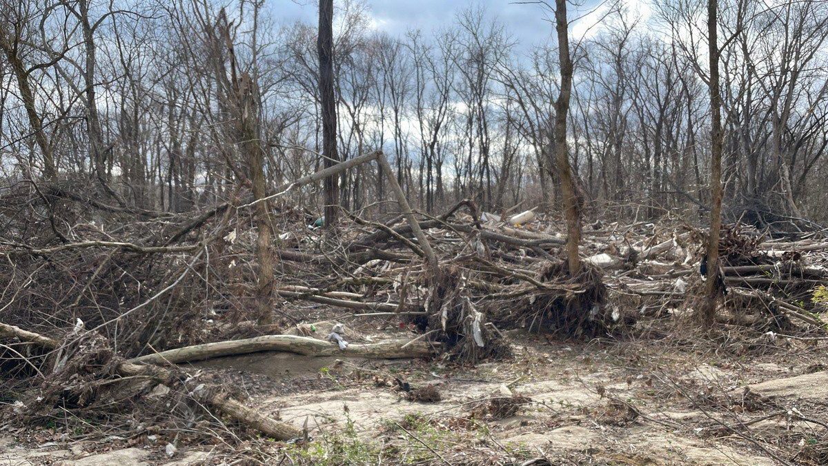 A dense area of fallen tree limbs, uprooted roots, and storm debris scattered across a sandy forest floor under bare trees.