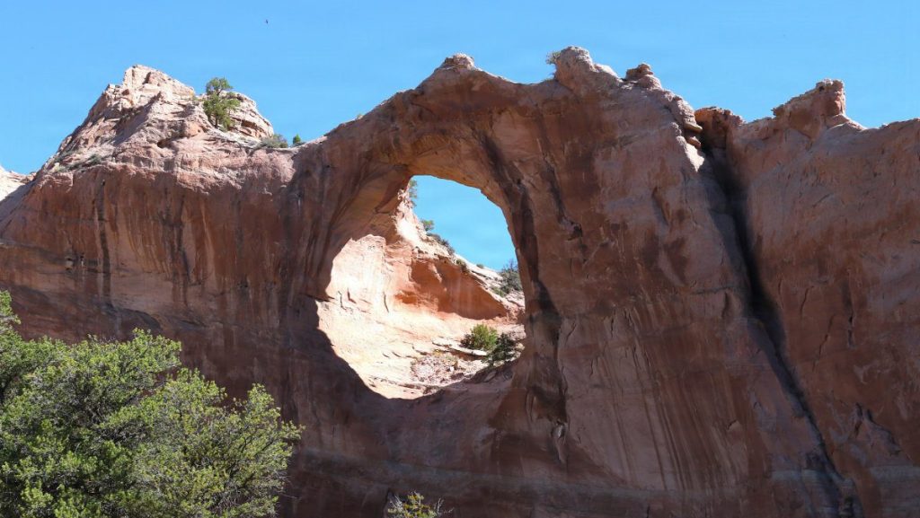 A wide-angle view of the iconic Window Rock, a massive natural red sandstone arch formation, rising against a clear blue sky with green desert foliage at its base.